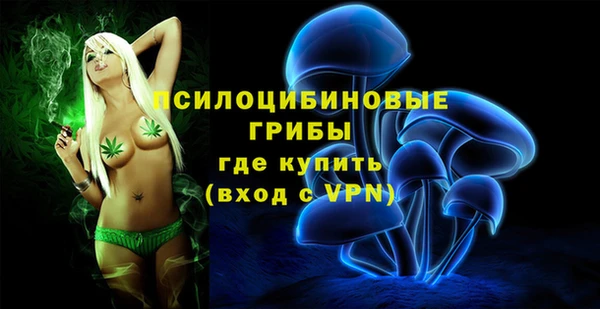 спиды Балахна